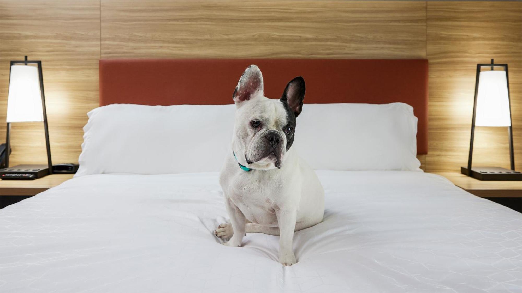 Candlewood Suites Junction City - Ft. Riley By Ihg Esterno foto